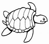 Coloring Turtle Pages Easy Sea Turtles Clipart Yertle Sheets Library sketch template