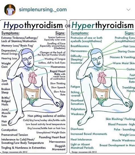hyperthyroidism vs hypothyroidism thyroid health hyperthyroidism