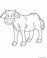 Coloring Cow Pages Printable Baby Animal Farm Kids Animals Clipart Shapes Colouring Cartoon Cows Simple Face Freekidscoloringpage Popular Strawberry Sheets sketch template