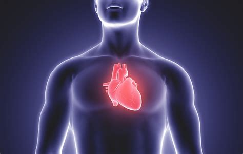 zuyderland tweede hart vaatcafe een hartinfarct voorkomen en herstellen zuyderland