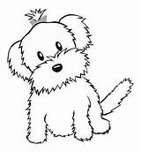 Terrier Coloring Pages Yorkie Highland Cartoon Drawing West Yorkshire Getcolorings Paintingvalley sketch template