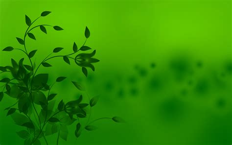 green simple wallpaper abstract green wallpapers hd
