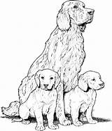 Hound Coloring Dog Getdrawings sketch template