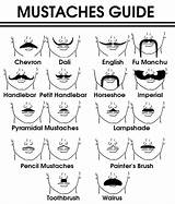 Mustache Moustache Mustaches Beard Mustace sketch template
