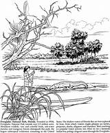 Everglades Dover Karibik Yellowstone Designlooter Ausmalen 790px 1kb Drawings Malbücher sketch template