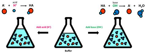 biological buffer    choose   buffer   experiment goldbio