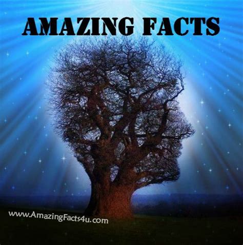 amazing facts amazing facts