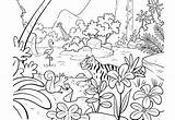Jungle Coloring Pages Kids Printable Colouring Animal Adults Sheets Children Choose Board Nature sketch template
