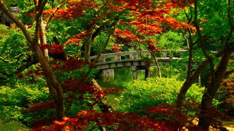 japanese garden kyoto mac wallpaper download allmacwallpaper