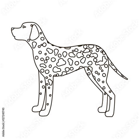 dalmatian icon  outline style isolated  white background dog