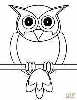 Coloring Owl Pages Printable Drawing sketch template