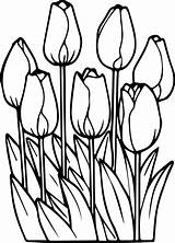 Tulips Print sketch template