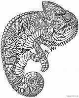 Mandalas Leicht Ausmalbild Ausmalen Chamäleon Malvorlagen Schwierig Chameleon Ausdrucken Erwachsene Happycolorz Tieren Chamaeleon Schildkröte Schwan Löwe sketch template