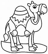 Camel Coloring Pages Colouring Outline Clipart Cartoon Kids Drawing Print Camels Color Getdrawings Transportation Clipartmag Printable Getcolorings Tags sketch template