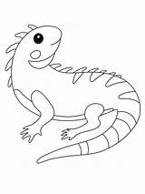 Iguana sketch template