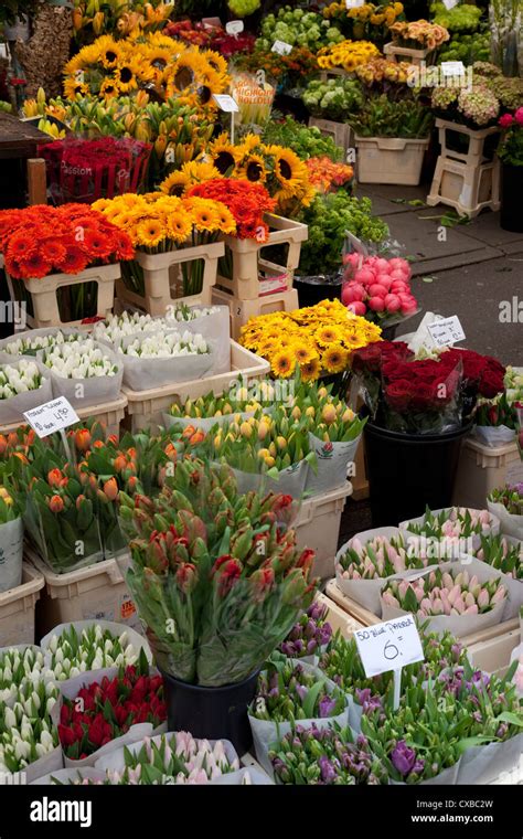 flower stall bloemenmarkt amsterdam holland europe stock photo alamy