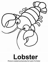 Lobsters Colouring Outline Playa Designlooter Webstockreview sketch template