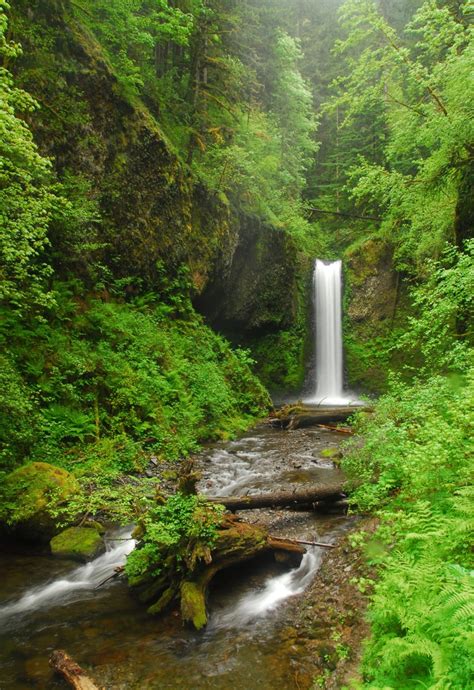 30 favorite hikes near portland outdoor project