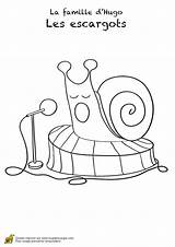 Gasteropodes Escargots sketch template