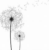 Dandelion Silhouette Wish Seeds Plant Getdrawings sketch template