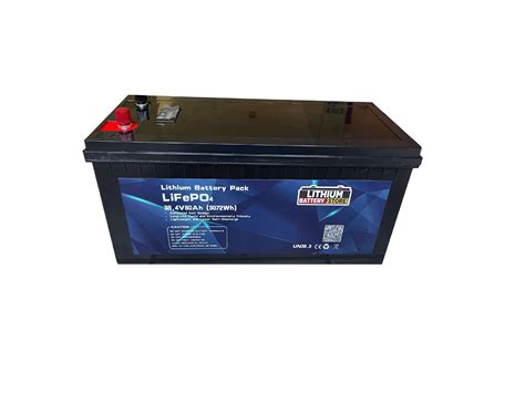 lifepo battery  ah deep cycle battery lithium battery store