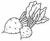 Verduras Frutas Vegetales Hortalizas Remolacha Rabanos Groente Outline Picasa Dibujar Remolachas Betterave Betiana Applique Alimentos Azcolorear Animaatjes Cuento Ligne Picasaweb sketch template