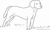 Beagle Coloring Dog Pages Dogs Coloringpages101 Color Pdf Online Mammals sketch template