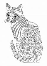 Cat Coloring Pages Adults Adult Printable Color Getcolorings sketch template