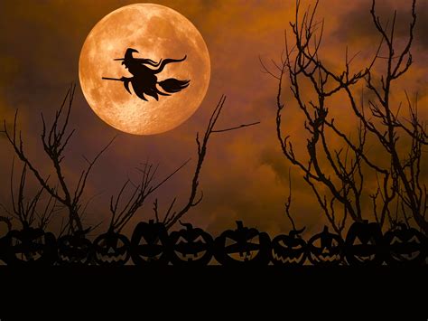witch  full moon  stock photo public domain pictures