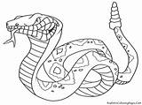 Coloring Pages Rattlesnakes Print Color Kids sketch template
