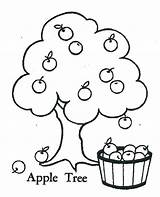 Apple Tree Coloring Pages Fruit Drawing Color Orchard Picking Line Printable Branch Preschool Getcolorings Print Getdrawings Style Realistic Popular Coloringpagesfortoddlers sketch template