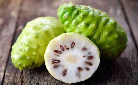 manfaat  khasiat buah mengkudu bagi kesehatan tubuh klik azzam