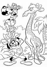 Colorare Coloring4free Sheets Giraffa 2398 Pianetabambini Singolarmente sketch template