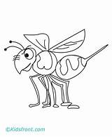 Hornet Coloring Pages Super Template Designlooter sketch template