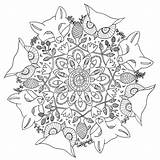 Herbst Mandalas Colorir Ausdrucken Adultos Desenhos Lobos Floresta Animaux Enfant Malvorlagen Automne Arteterapia Enchanted Tudodesenhos Jackie Coloriage Grundschule Dessins Vorlage sketch template