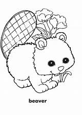Beaver Coloring Pages Template sketch template