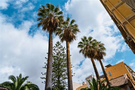 het weer  barcelona weersverwachting en weerbericht