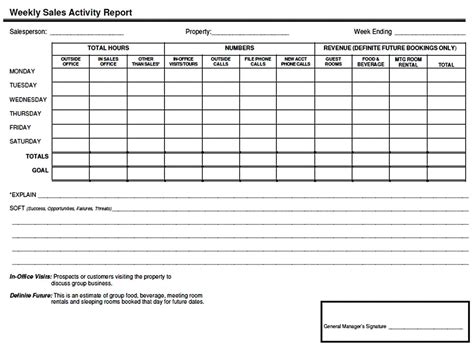 daily activity report format