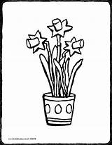 Osterglocken Ausmalen Daffodils Colouring Ausmalbilder Kinderbilder Drawing Bestimmt Clipartmag sketch template