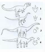 Dinosaurios Huellas Dinosaurio Imprimir Huella Prehistoricos Maestra Rincon Siluetas Chile sketch template