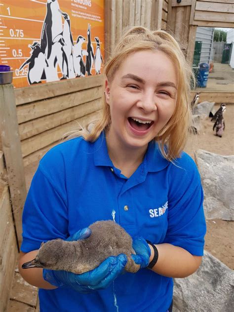 Extra Surprise For Visitors To Hunstanton Attraction After Penguin