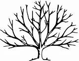 Draw Leafless Clipartmag Cliparts sketch template