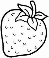 Strawberry Template Drawing Sketch sketch template