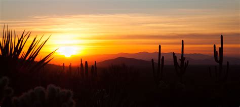 desert sunset fernandez realty llc
