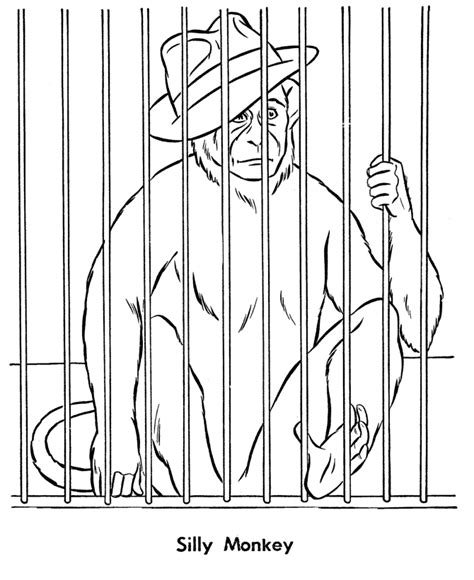 zoo animal coloring pages zoo monkey   cage coloring page  kids