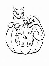 Halloween Coloring Occasions Holidays Special Pages Imprimer Citrouille Chat Coloriage Gratuit Printable Et Drawing Sur Kb sketch template