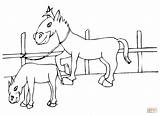 Konie Ponies Stadninie Kucyki Kolorowanki Ausmalbild sketch template