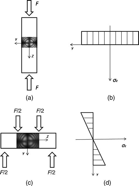 compression configuration  forces acting   sample