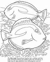 Coloring Reef Barrier Great Pages Book Dover Fish Publications Print Ocean Color Coral Animal Colouring Printable Samples Weekly Kids Sheets sketch template