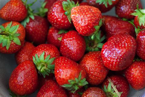 erdbeer tiramisu mit frischen erdbeeren und amaretto kochfaszinationde